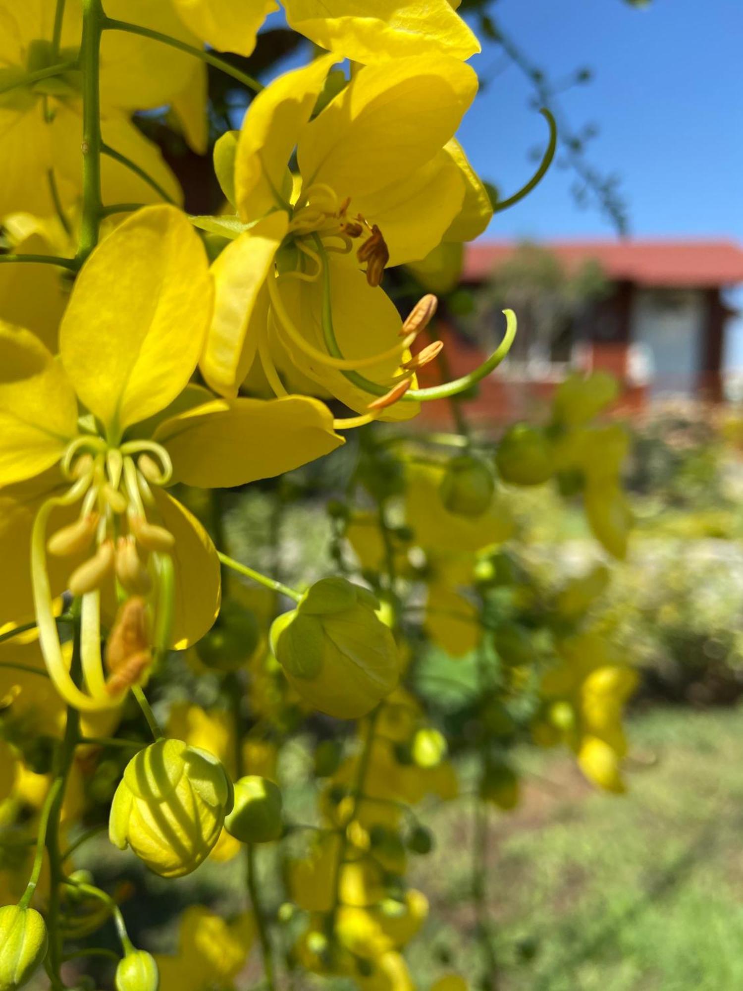 Villarreal Lodge Hotel Ecologico Totolapan ภายนอก รูปภาพ