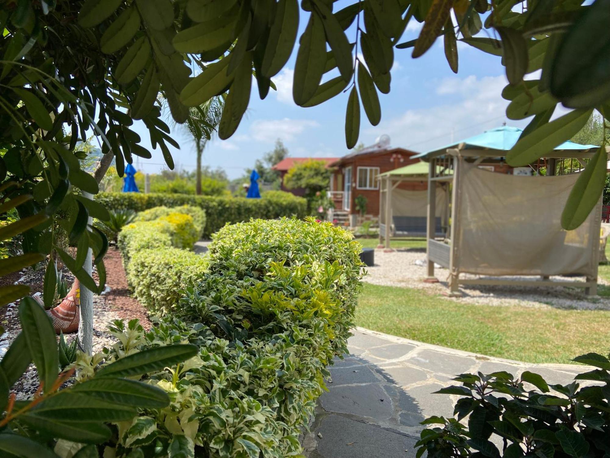 Villarreal Lodge Hotel Ecologico Totolapan ภายนอก รูปภาพ